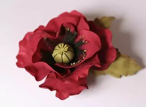 Маки из Ревелюра - Панеева (2014)_0.jpg